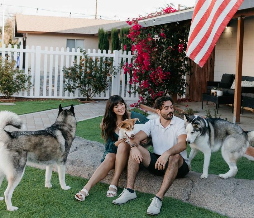 Images Feels Like Home: Dog Care