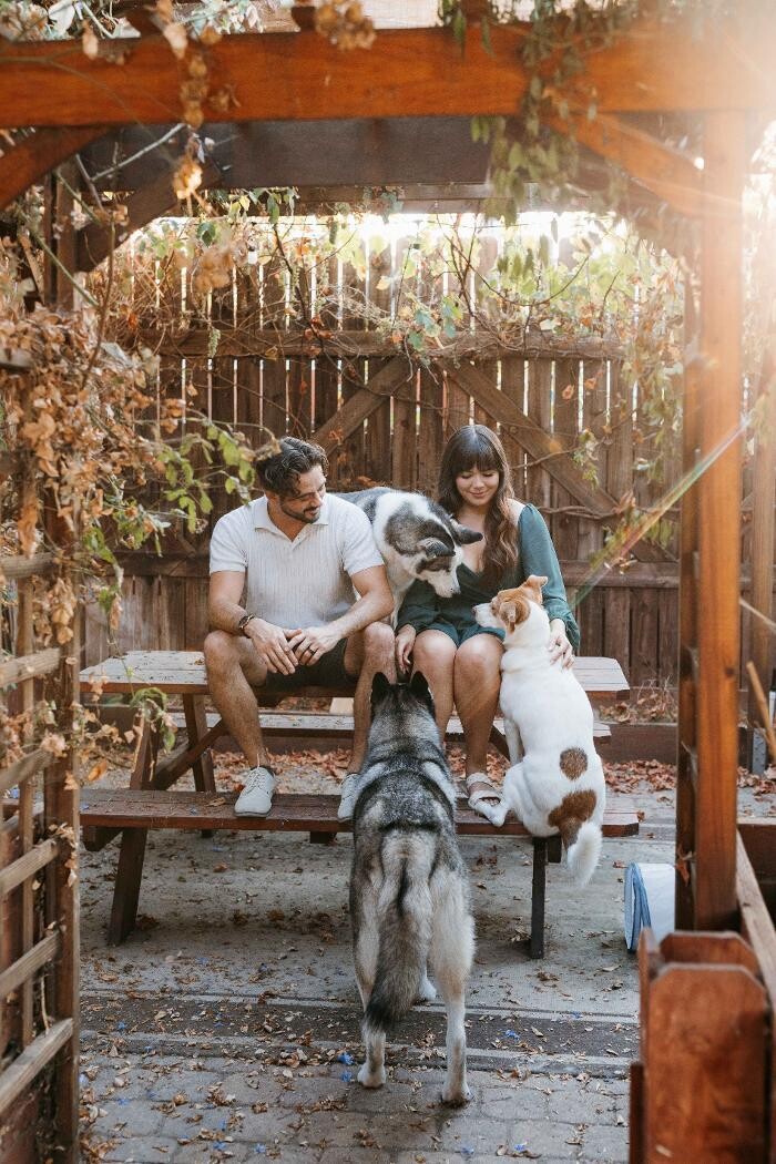 Images Feels Like Home: Dog Care