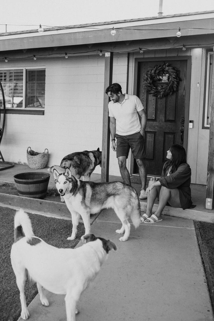 Images Feels Like Home: Dog Care