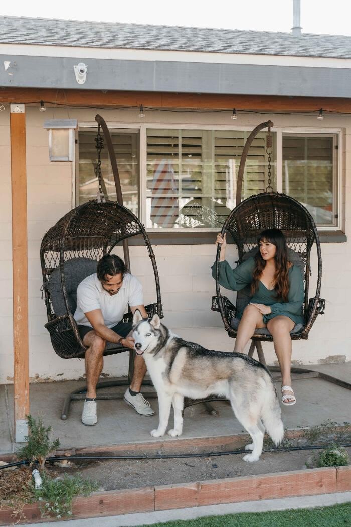 Images Feels Like Home: Dog Care