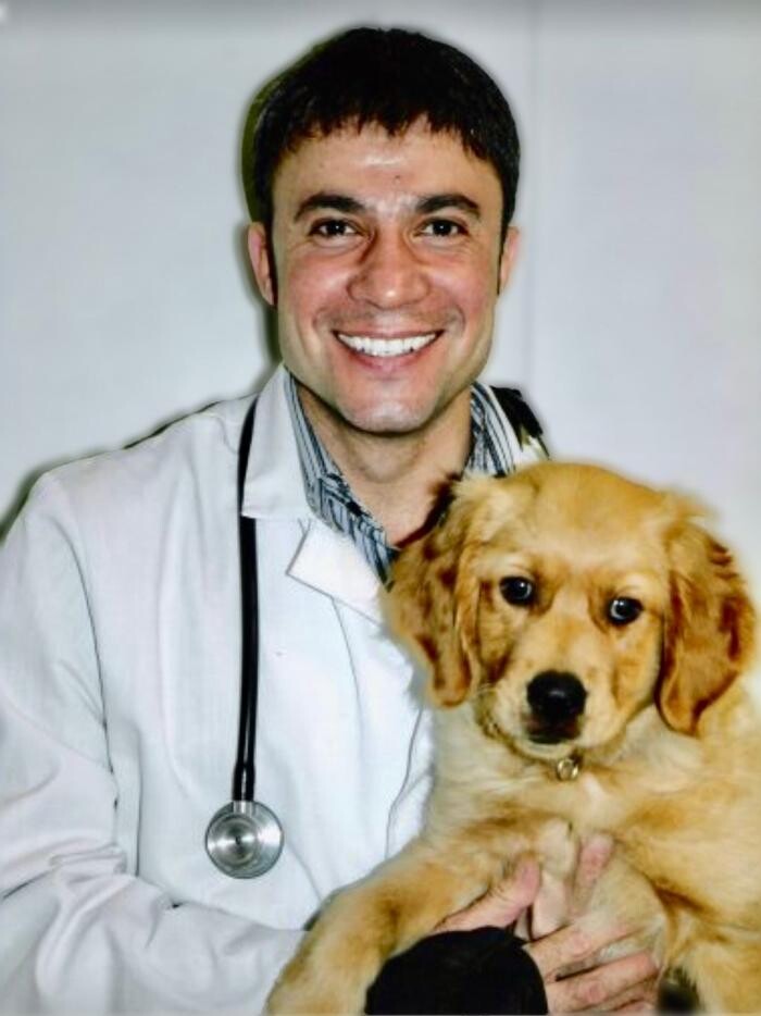 Images Beach Garfield Veterinary Hospital