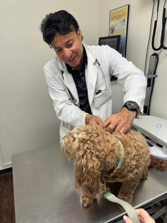 Images Beach Garfield Veterinary Hospital
