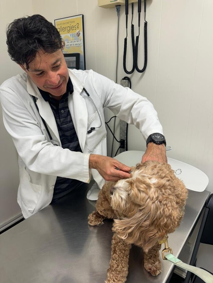 Images Beach Garfield Veterinary Hospital