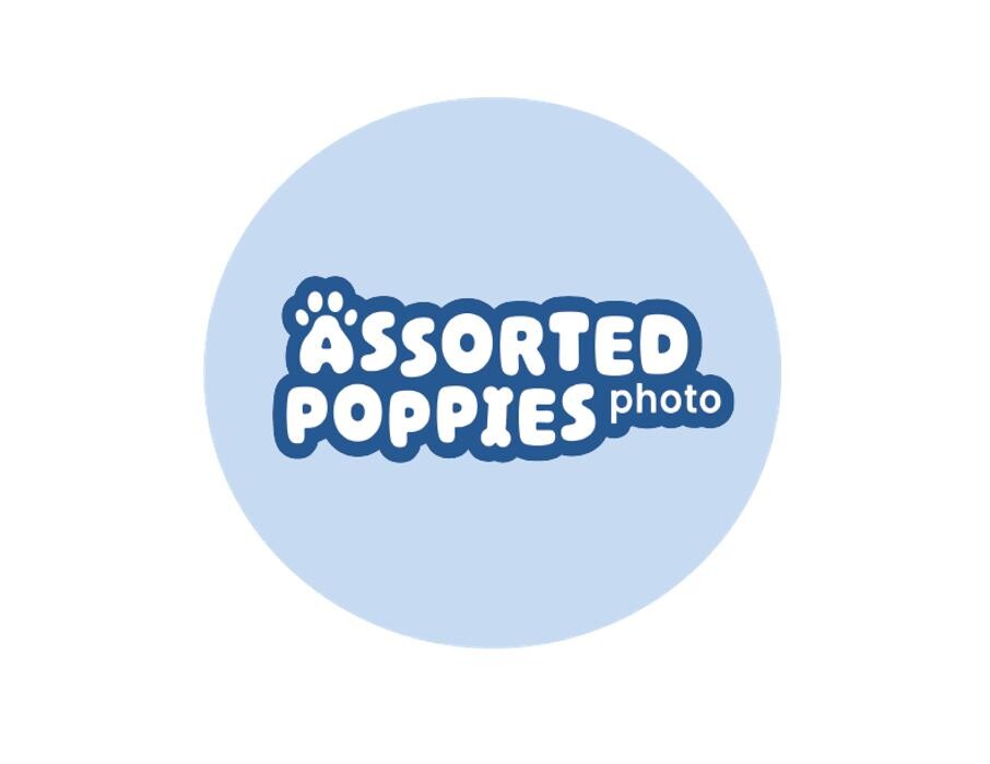 Assorted Poppies Photo Logo