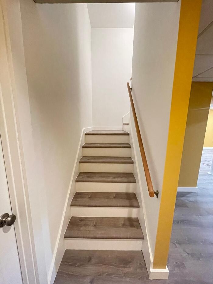 Images Regulus Construction