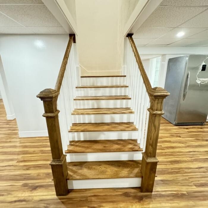 Images Regulus Construction