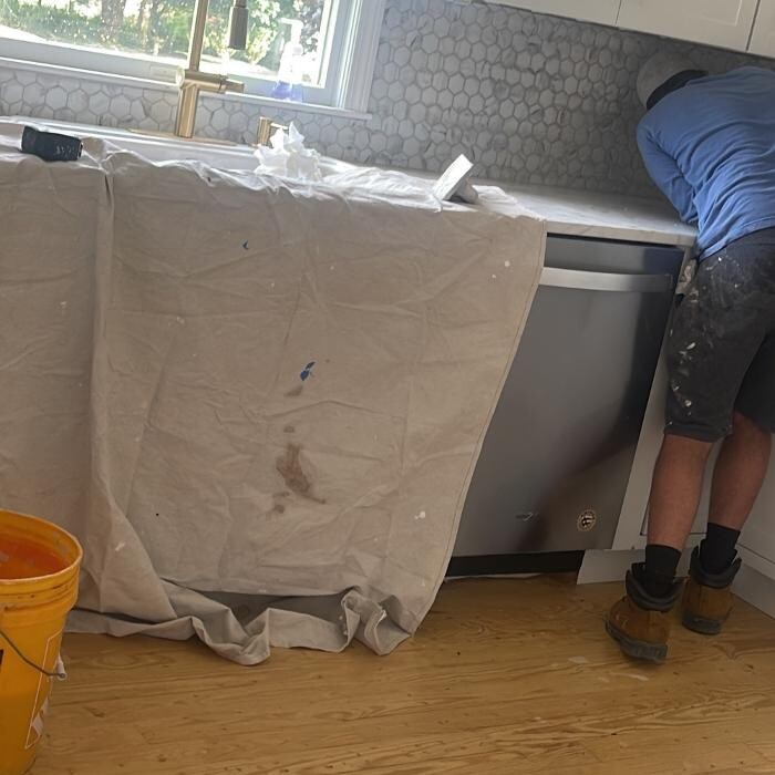 Images Regulus Construction
