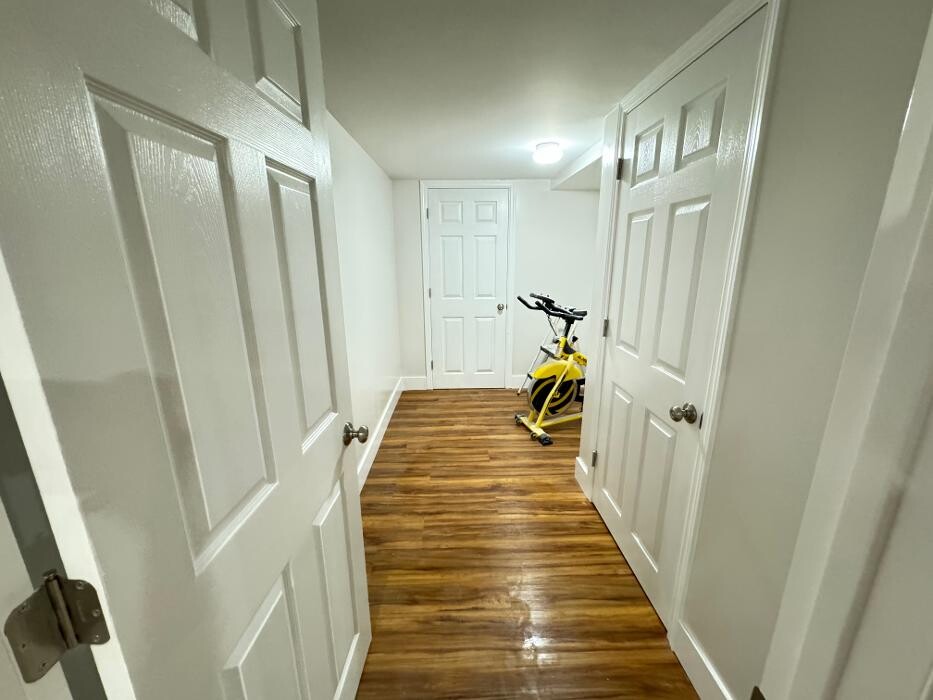 Images Regulus Construction