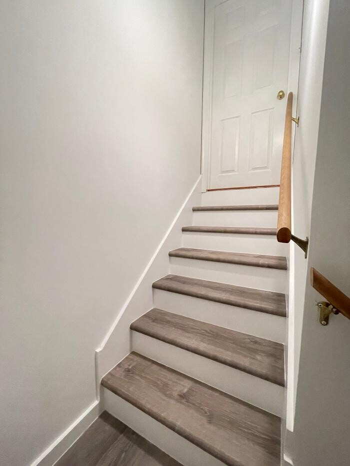 Images Regulus Construction