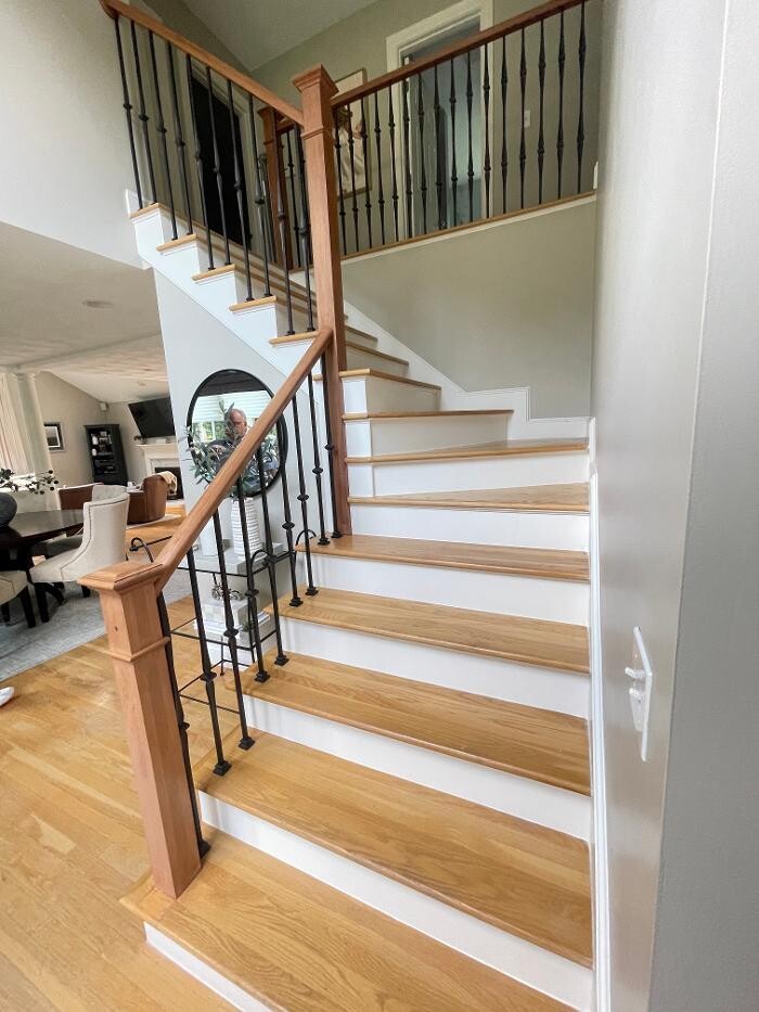 Images Regulus Construction