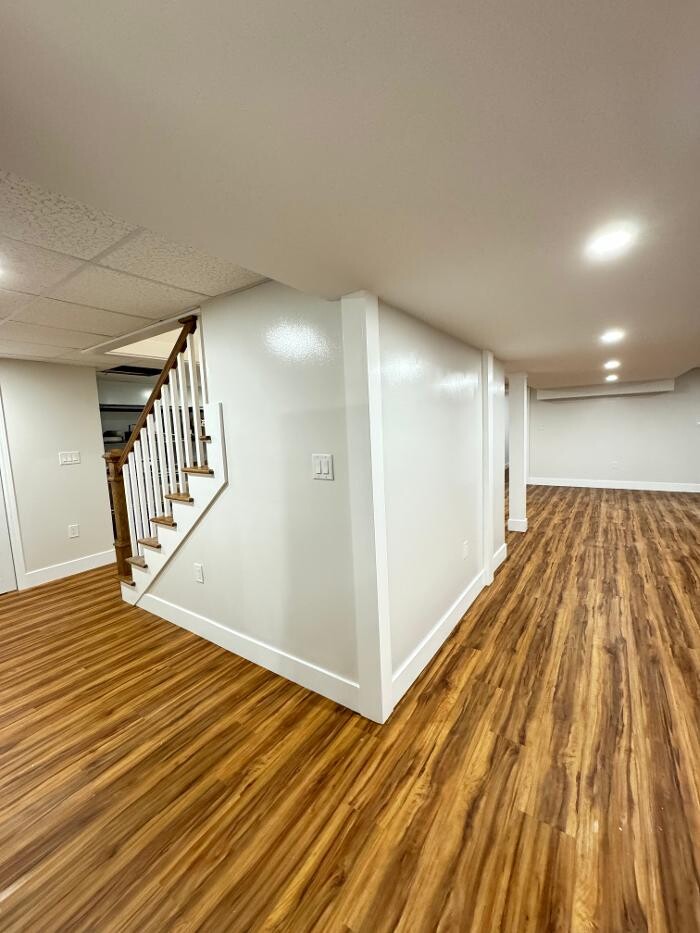 Images Regulus Construction
