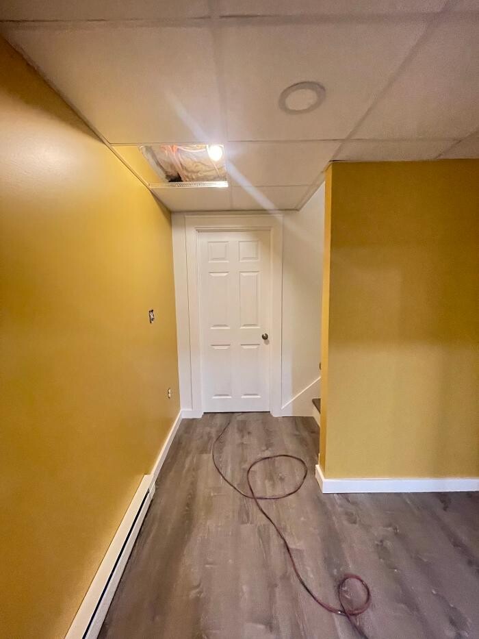 Images Regulus Construction