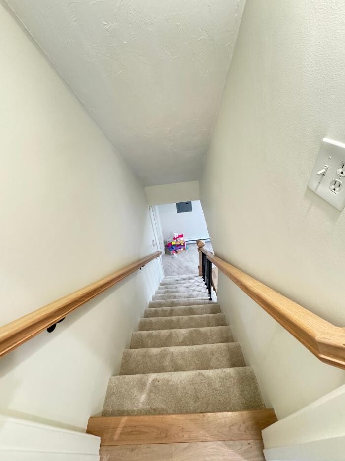 Images Regulus Construction