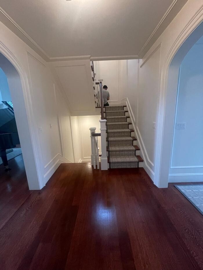 Images Regulus Construction