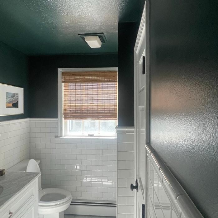 Images Regulus Construction