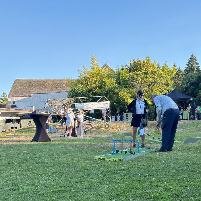 Images Mini Golf on the Go