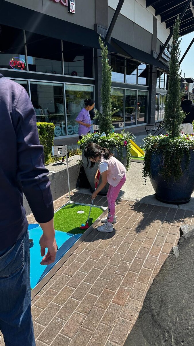 Images Mini Golf on the Go