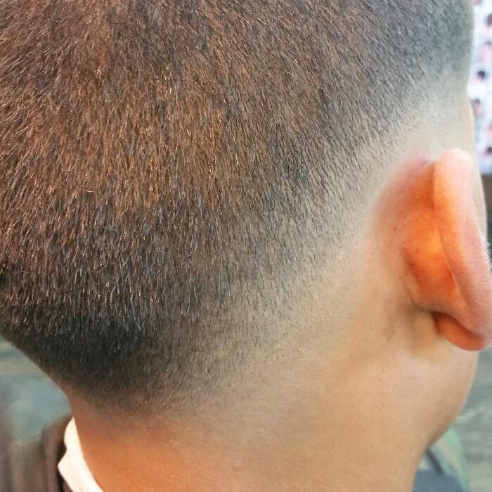 Images THE FADE AND SHAVE BARBER SHOP