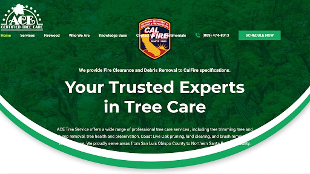 Images ACE Certified Tree Care