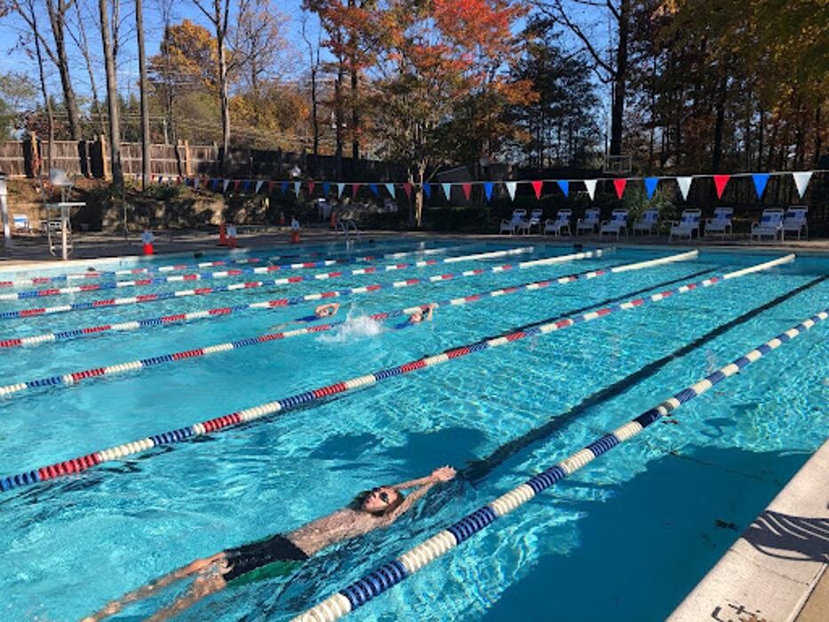Images FINS Swimming