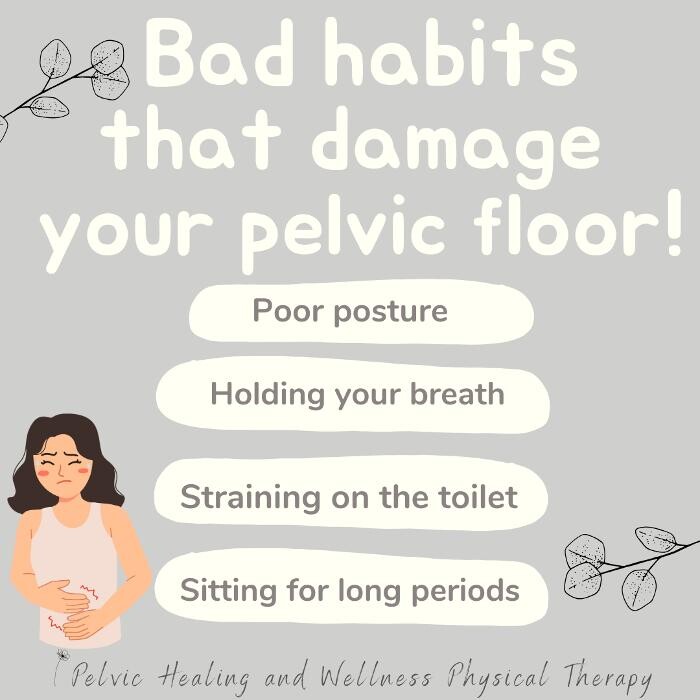 Images Pelvic Healing And Wellness Physical Therapy
