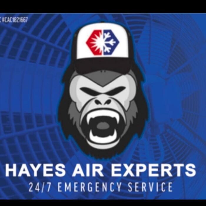 Images Hayes Air Experts