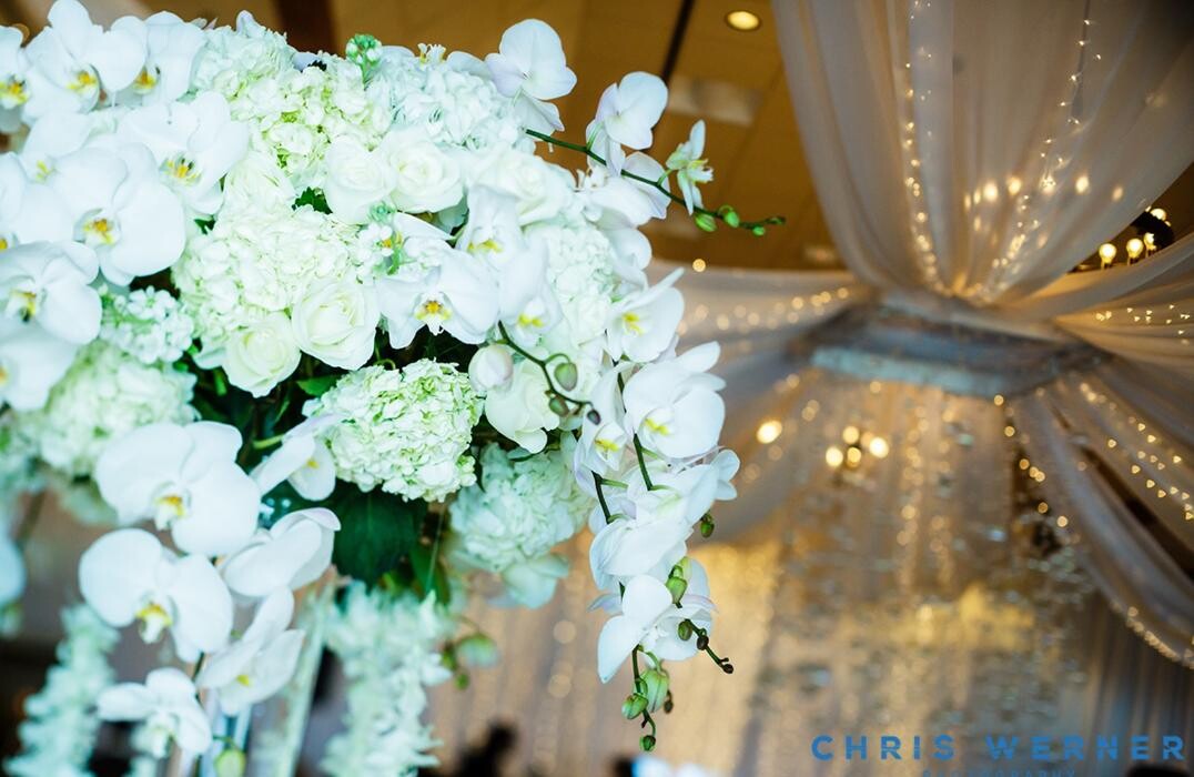 Images Felicia Events