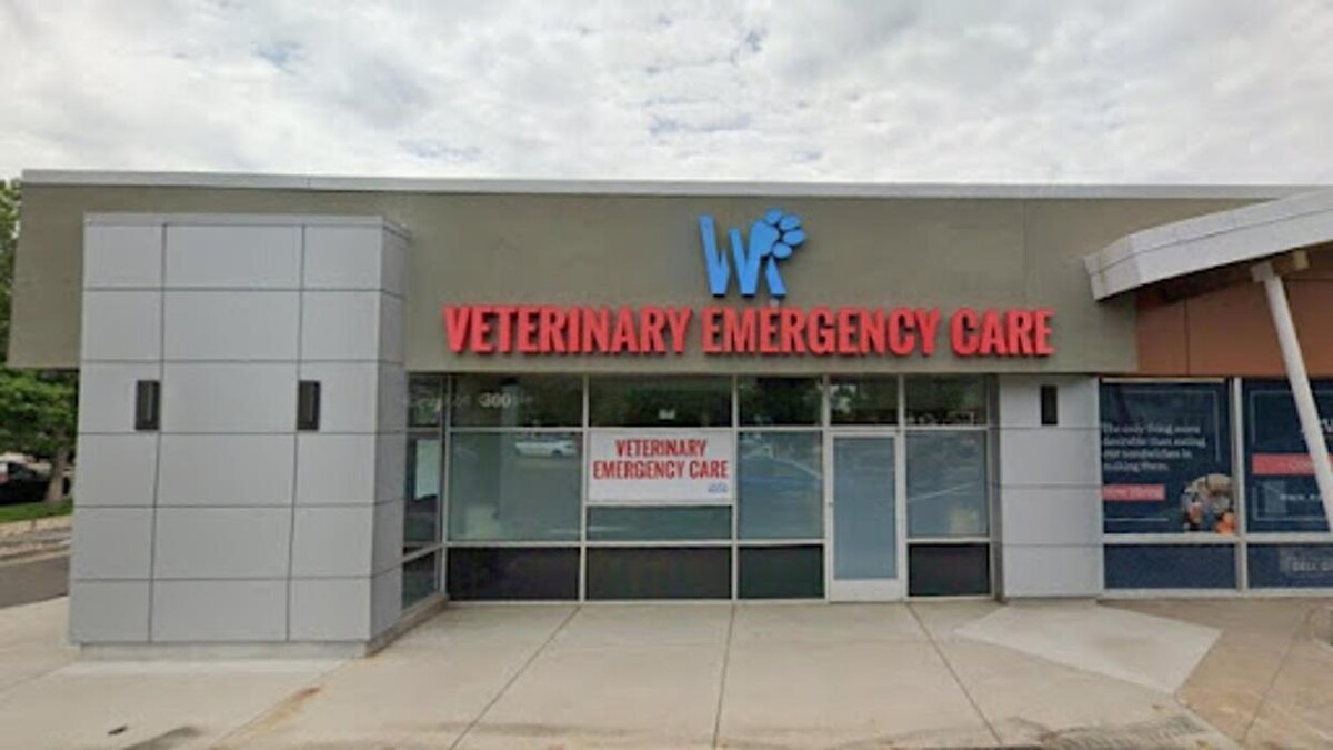 Images Veterinary Emergency Care Wash Park