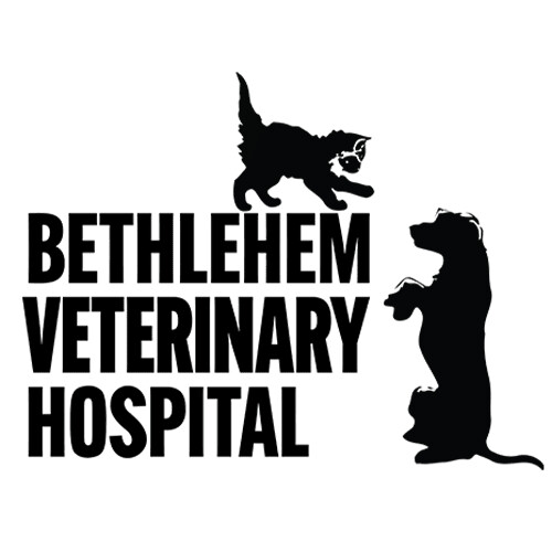 Bethlehem Veterinary Hospital Logo