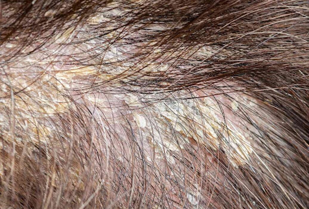 Images Euphoria Skin & Hair