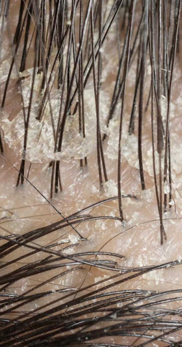 Images Euphoria Skin & Hair