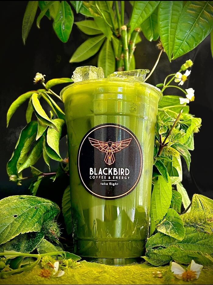 Images Blackbird Coffee & Energy