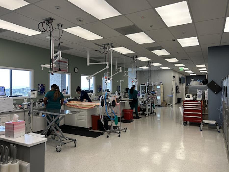 Images Pet Emergency & Specialty Center of Marin