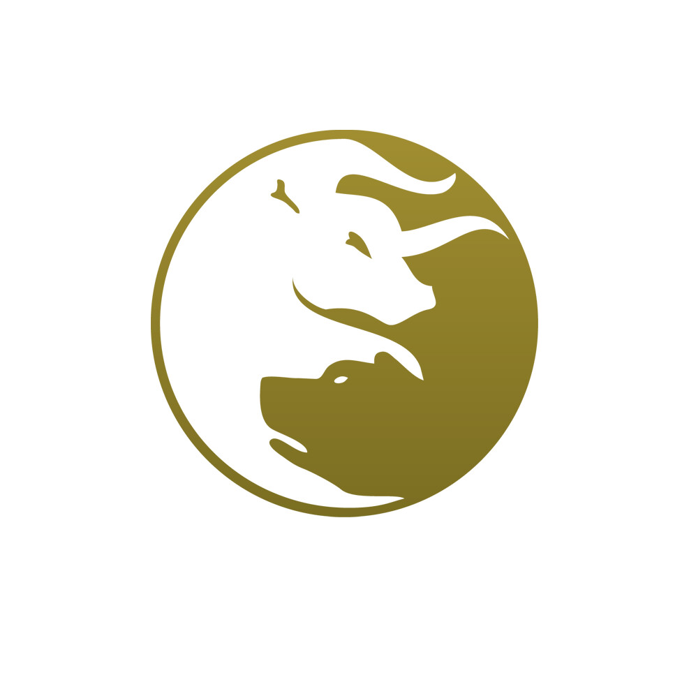 Wall Street Chiropractic and Wellness Logo