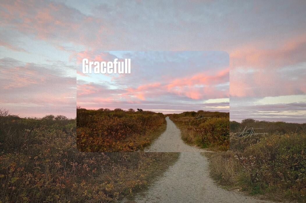 Images Gracefull Aesthetics
