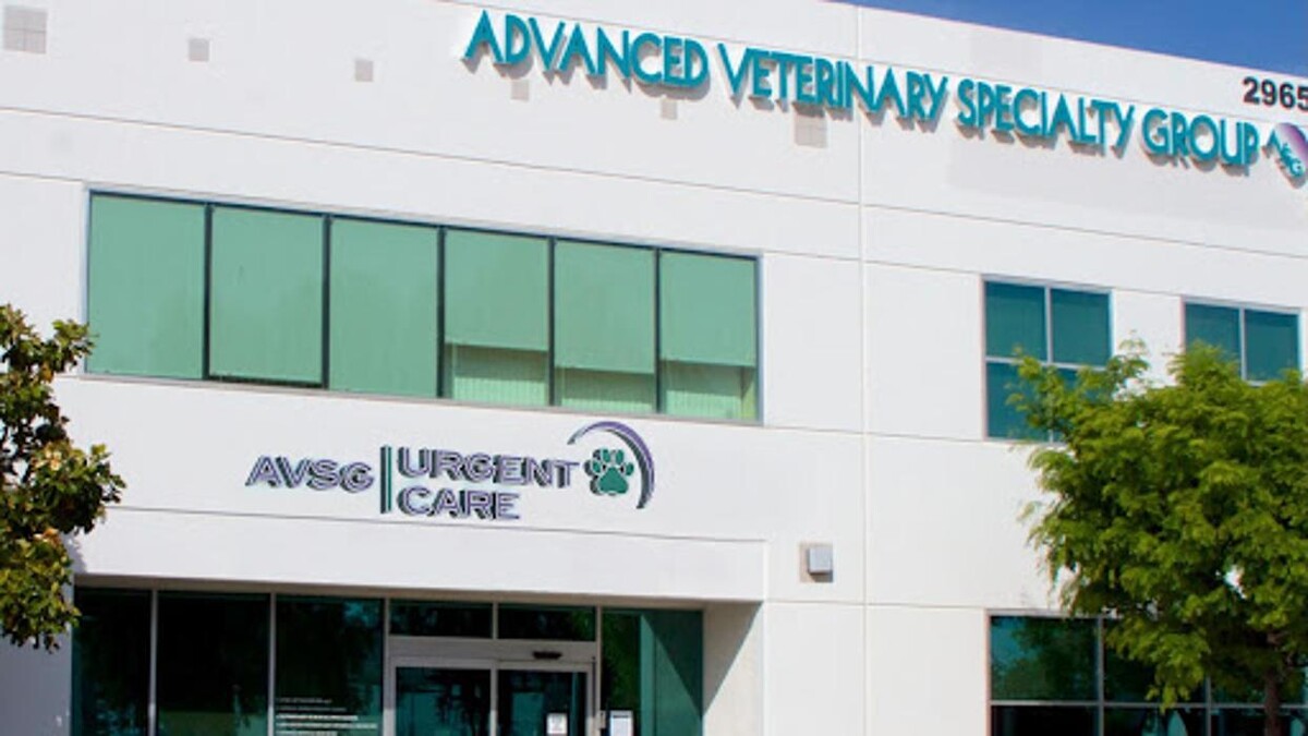 Images AVSG Internal Medicine Emergency & Critical Care