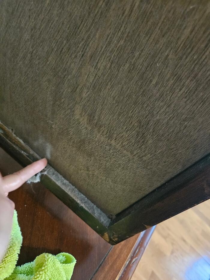 Images Diamond Shine Knoxville Cleaning LLC