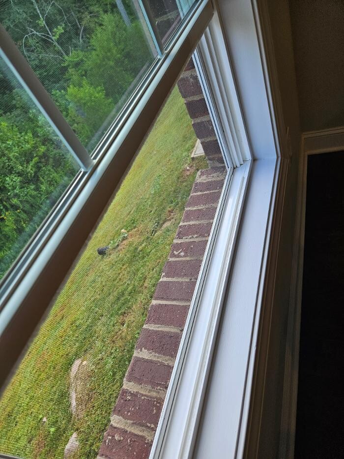 Images Diamond Shine Knoxville Cleaning LLC