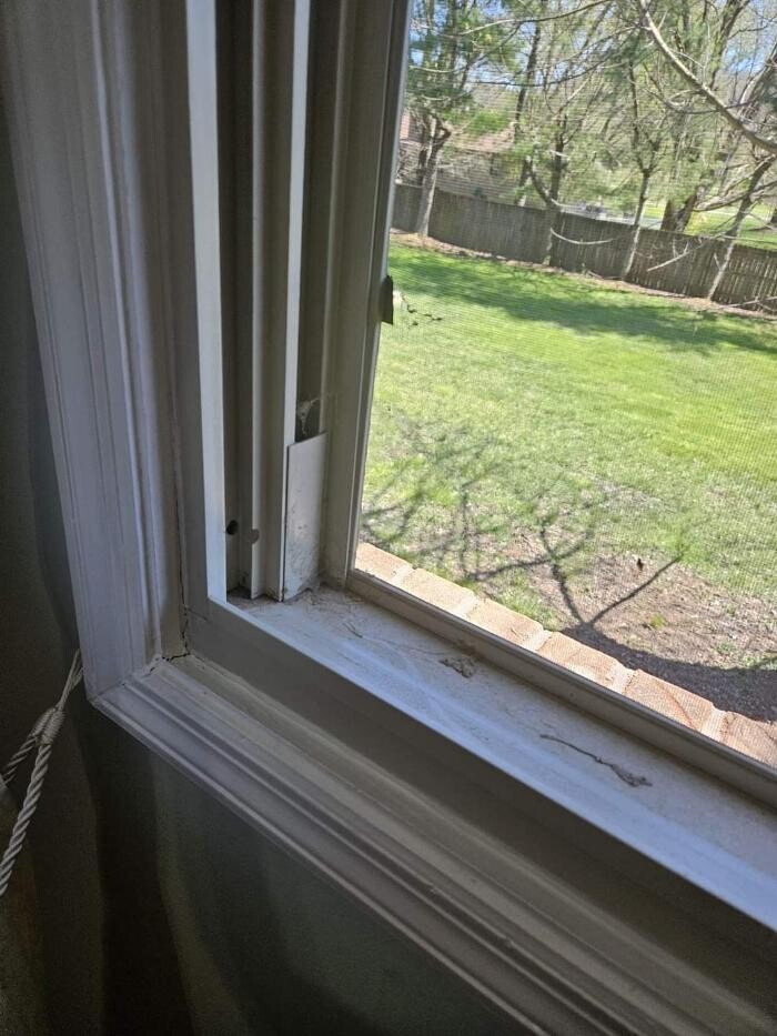 Images Diamond Shine Knoxville Cleaning LLC