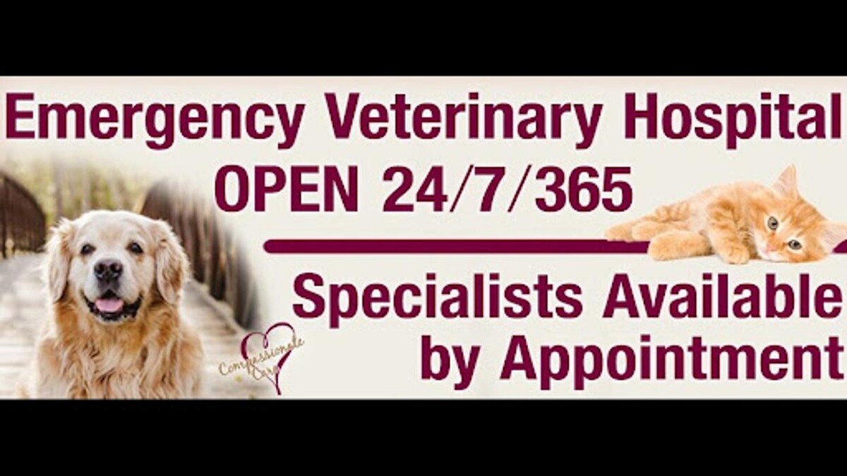 Images Greater Staten Island Veterinary Services
