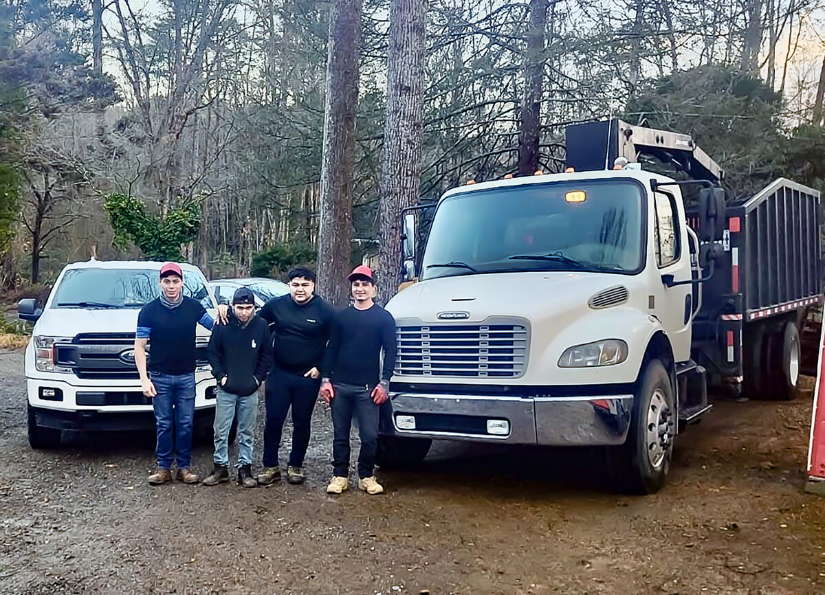 Images JMS Tree Service