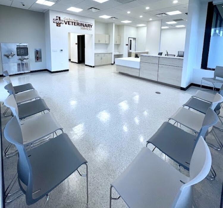 Images GSVS Veterinary Emergency Care Morristown
