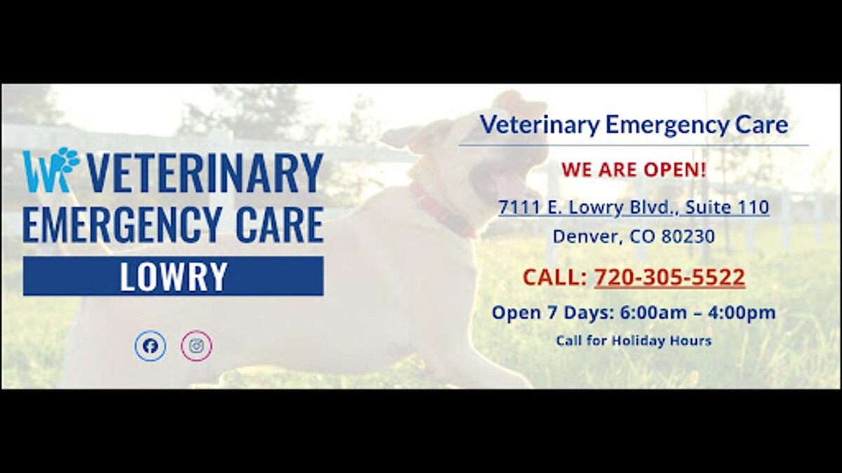 Images Veterinary Emergency Care Lowry