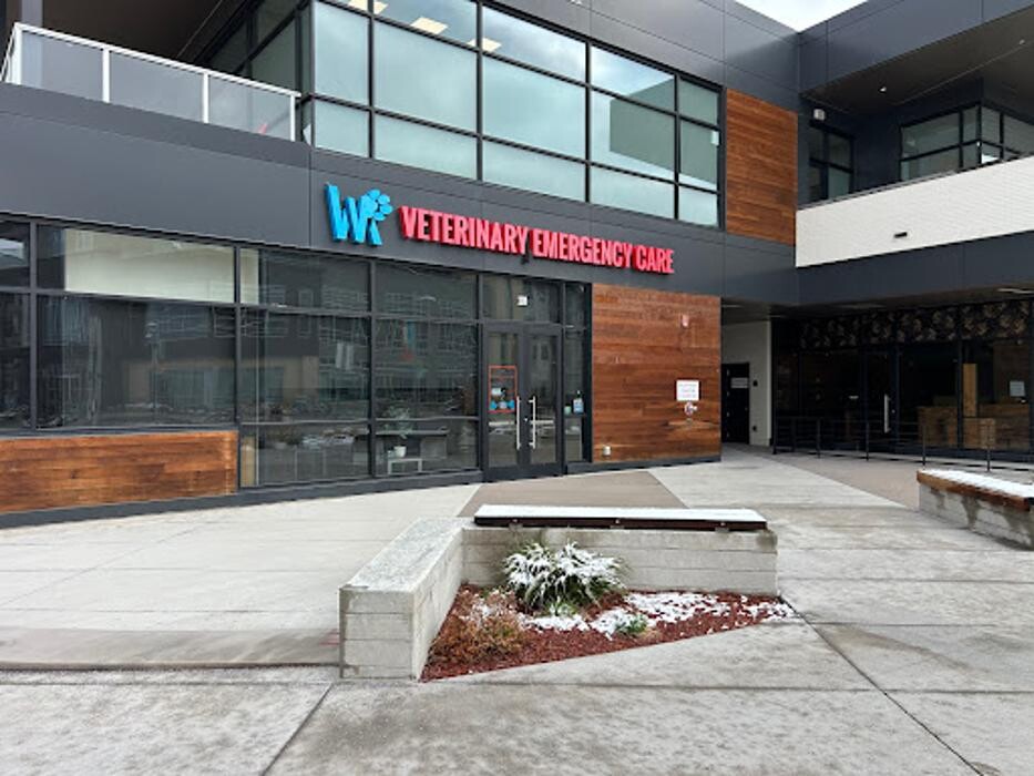 Images Veterinary Emergency Care Lowry