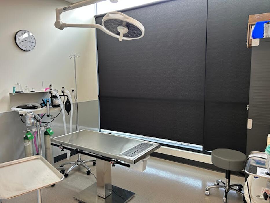 Images Veterinary Emergency Care Lowry