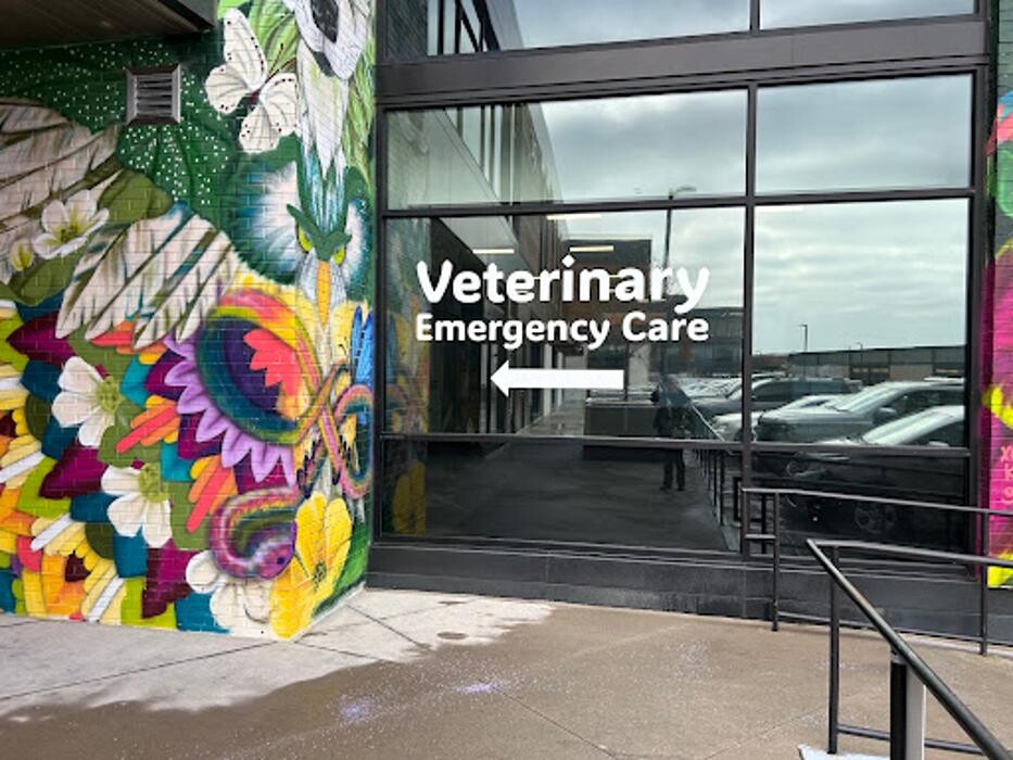 Images Veterinary Emergency Care Lowry