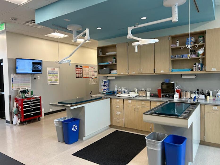 Images Veterinary Emergency Care Lowry