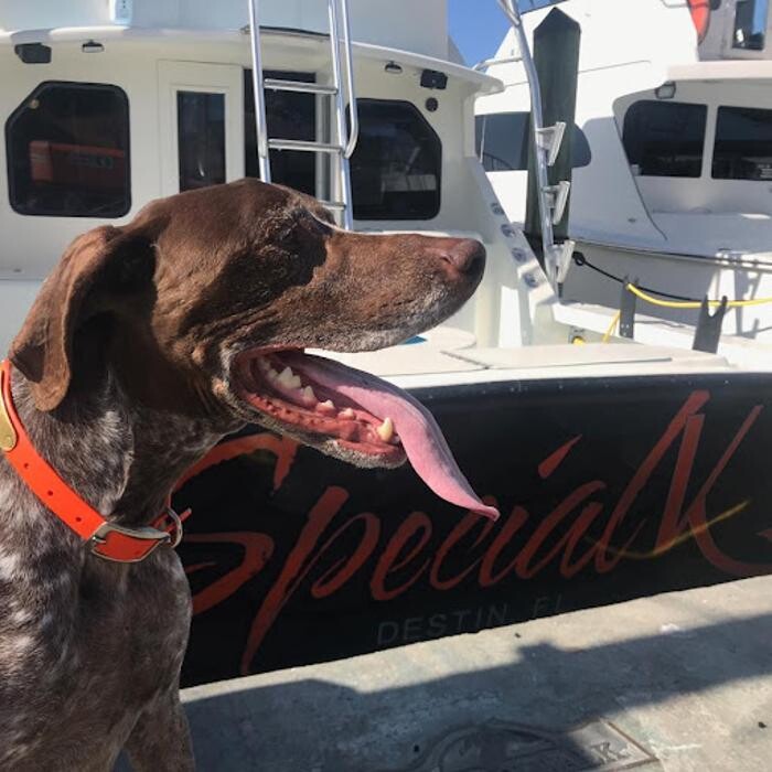 Images Charter Boat Special K