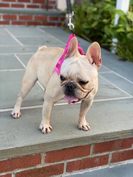 Images The Barrie Inn