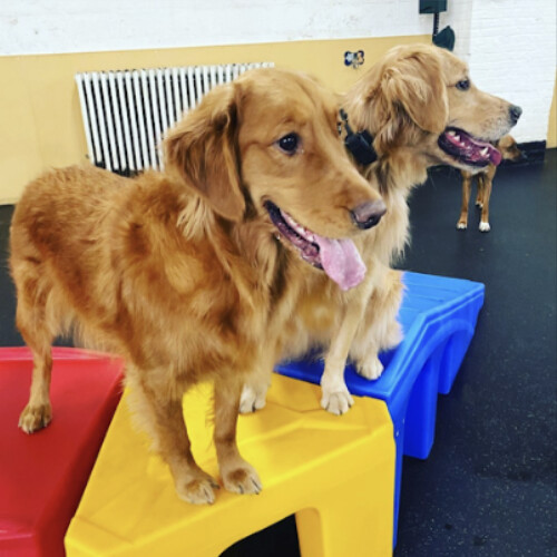 Images The Barrie Inn